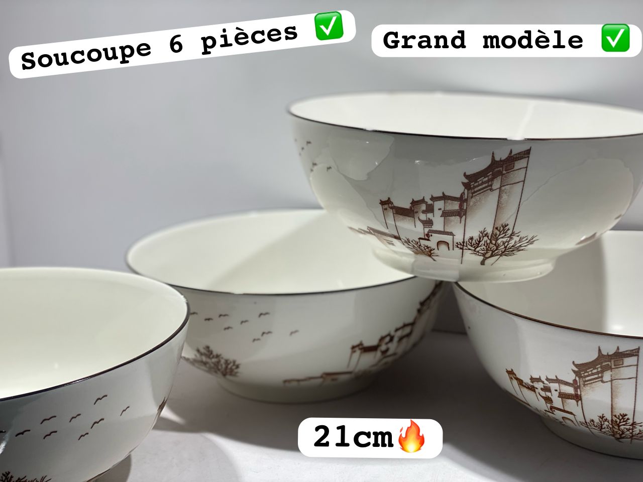 Lots de 6 soucoupe 21cm